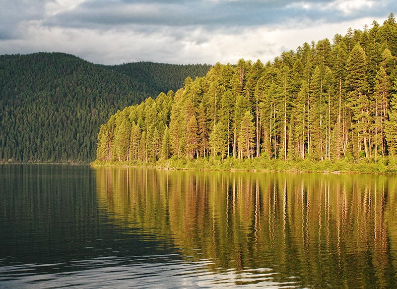 Scenic Montana - Jess Williams - Tally Lake