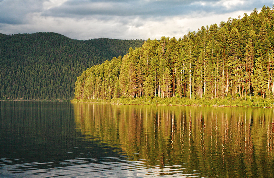 Scenic Montana - Jess Williams - Tally Lake
